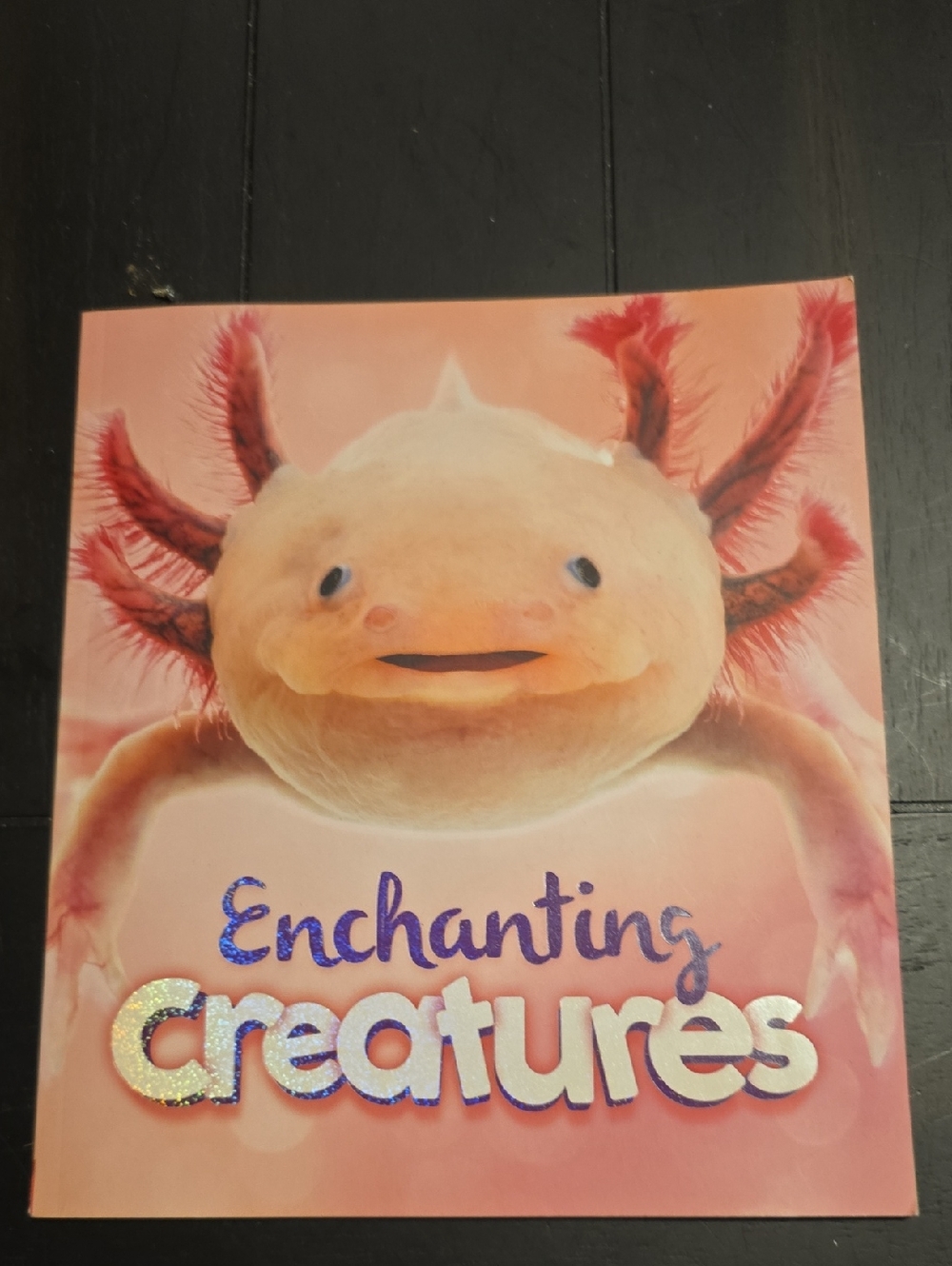 Enchanting Creatures Picture Book - Pink